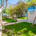 Hotel Zehra Tatil Koeyue Oludeniz