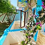 Zehra Tatil Koeyue